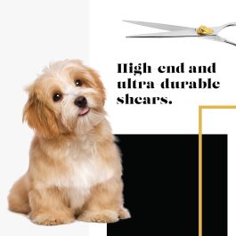 Gold Touch Professional Straight Pet Grooming Scissors – Great Gift Idea with Case