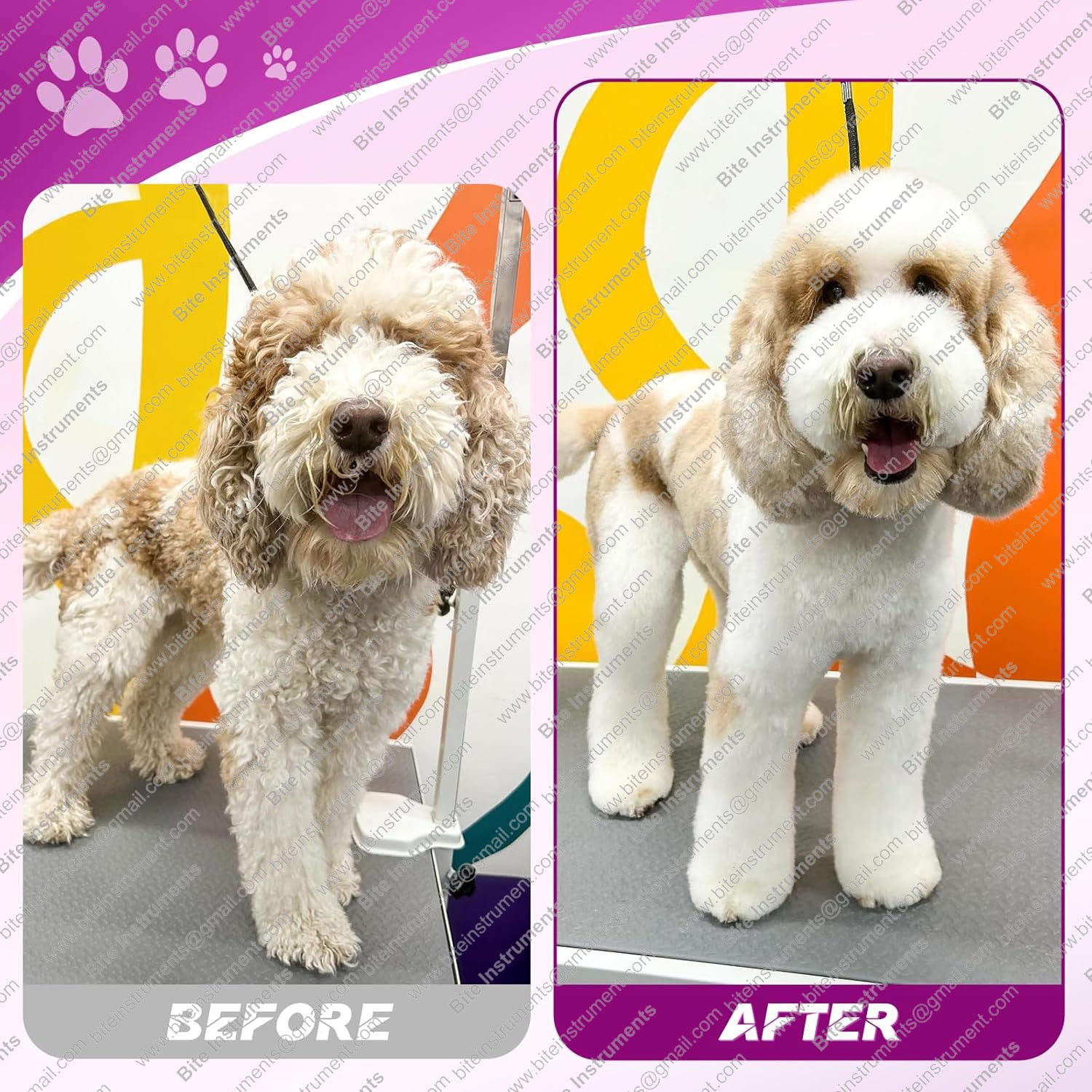 Dog Grooming Scissors Set - Professional 6 in 1 Dog Shears Kit - 6.5" Thinning, 7" Straight, 7" Up-Curved, 7" Down-curved Scissors with Comb - Image 4